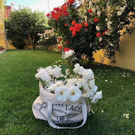 Holiday home Casa Gigli Pula